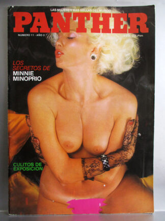 Panther vol. 2 no. 11