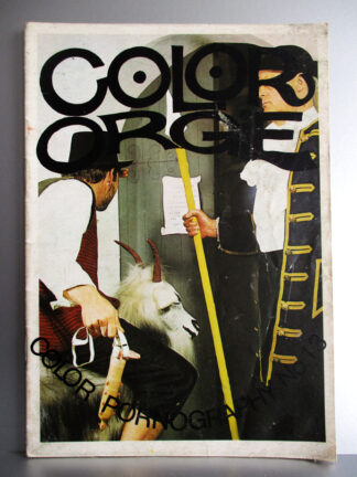 Color Orgie no. 13